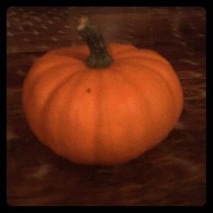 Meet your Posher, Romie